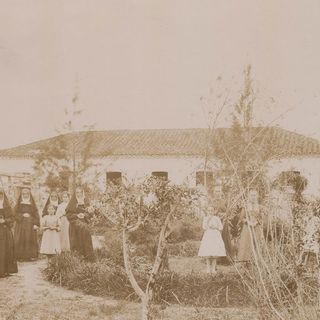 Tubarão – house and garden.