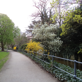 Surroundings of the Highschool Paulinum in which Edward went to school from 1826 to 1832.